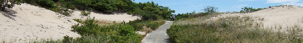 ken zirkel header image 4